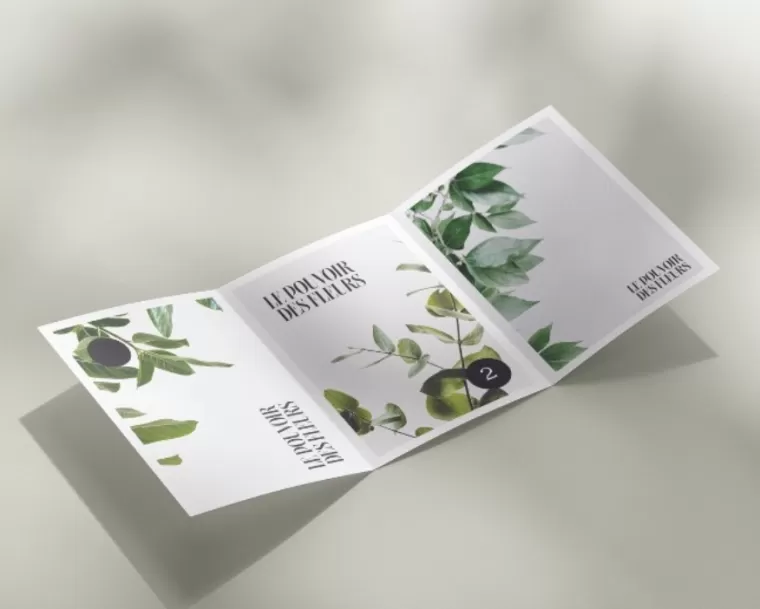 Prix création de flyer publicitaire à Bordeaux, Bordeaux, Krysiecki Léa